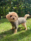 Fat Fur Dog